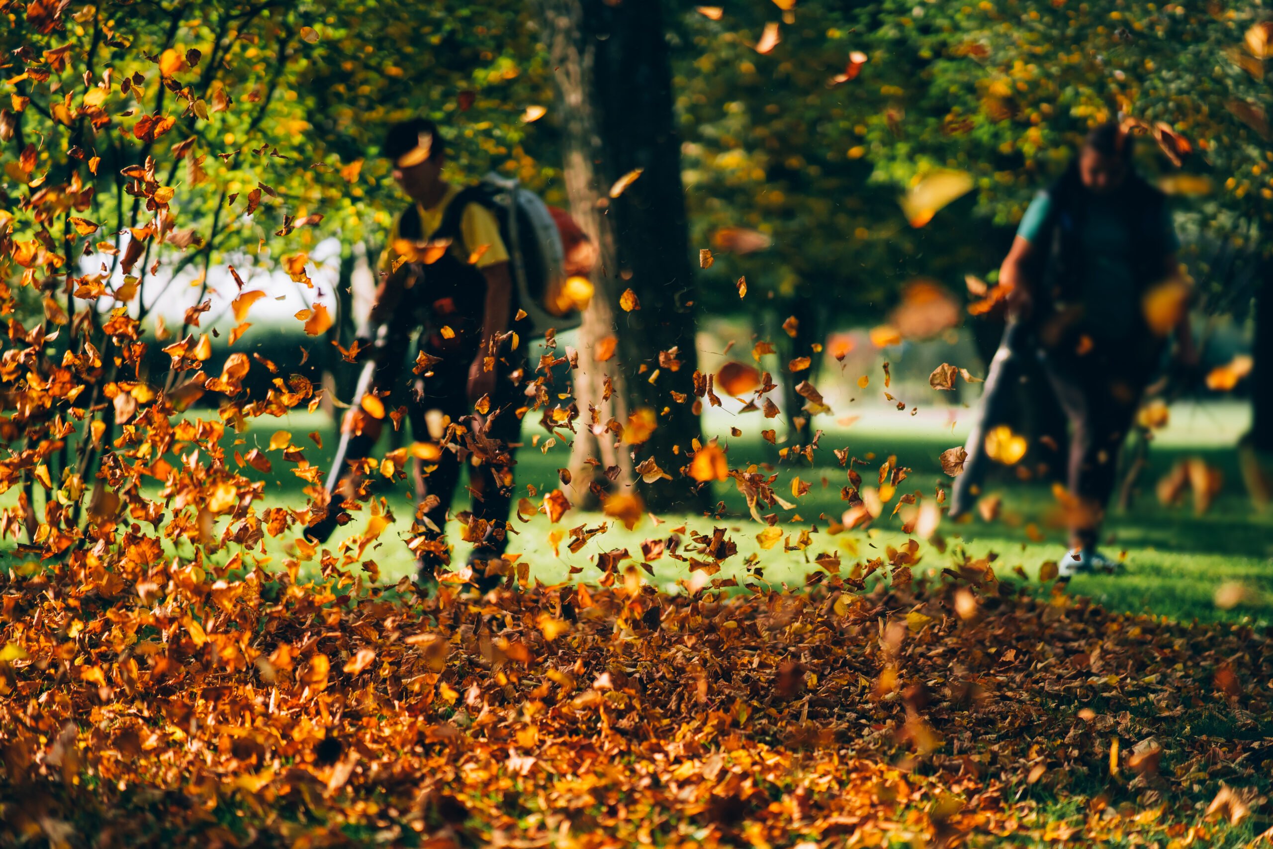 Eine dynamische Aufnahme von aufwirbelndem, goldenem Herbstlaub in einem Park. Im unscharfen Hintergrund sind zwei Personen zu erkennen, die mit Laubbläsern arbeiten, um die Blätter von der Rasenfläche zu entfernen. Das Sonnenlicht fällt durch die Bäume und lässt die fliegenden Blätter in warmen Orange- und Brauntönen leuchten.