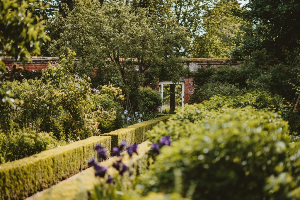 Ein verwunschener, üppiger Garten mit akkurat geschnittenen, niedrigen Hecken, die schmale Wege einfassen. Violette Schwertlilien setzen farbige Akzente in der grünen Vegetation. Im Hintergrund begrenzt eine alte Backsteinmauer das Grundstück, durch deren weiß gerahmtes Tor man in einen weiteren, helleren Gartenbereich blickt. Hohe, dichte Bäume runden die Szenerie bei warmem Tageslicht ab.