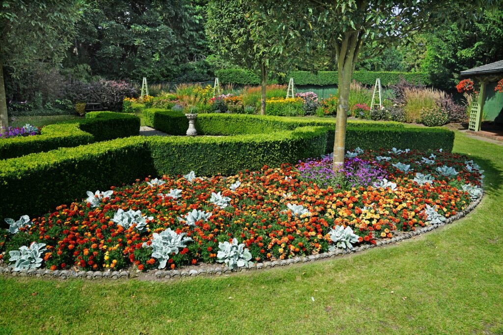 Eine gepflegte Gartenanlage mit geometrisch geschnittenen, grünen Hecken und einem großen, bogenförmigen Blumenbeet im Vordergrund. Das Beet ist dicht mit orangefarbenen und gelben Tagetes sowie silbrig-grauem Woll-Ziest bepflanzt. Im Hintergrund erstrecken sich weitere bunte Rabatten, eine Rasenfläche und hohe Bäume unter hellem Tageslicht.
