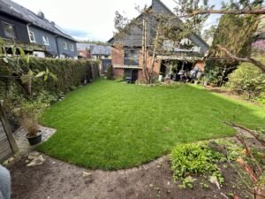 Fachgerecht verlegter Rollrasen mit sauberer Mähkante aus Pflastersteinen. Die weiche, geschwungene Form des Rasens schmiegt sich an die bestehende Bepflanzung und das Wohngebäude an.