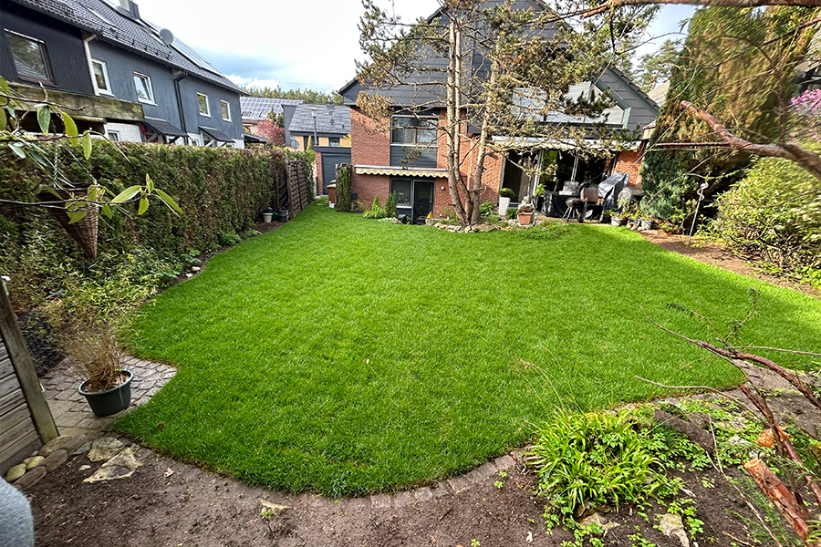 Fachgerecht verlegter Rollrasen mit sauberer Pflastersteinkante als Mähkante. Die geschwungene Form des Rasens schmiegt sich an die bestehende Bepflanzung und das Wohngebäude an.